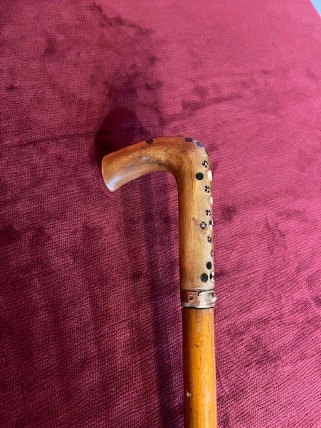 Dagger Cane-photo-2