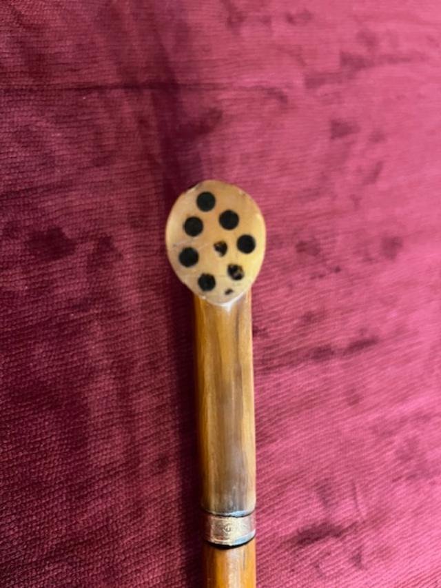 Dagger Cane-photo-4