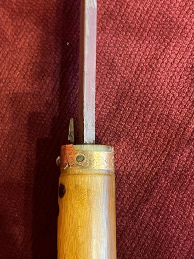 Dagger Cane-photo-6