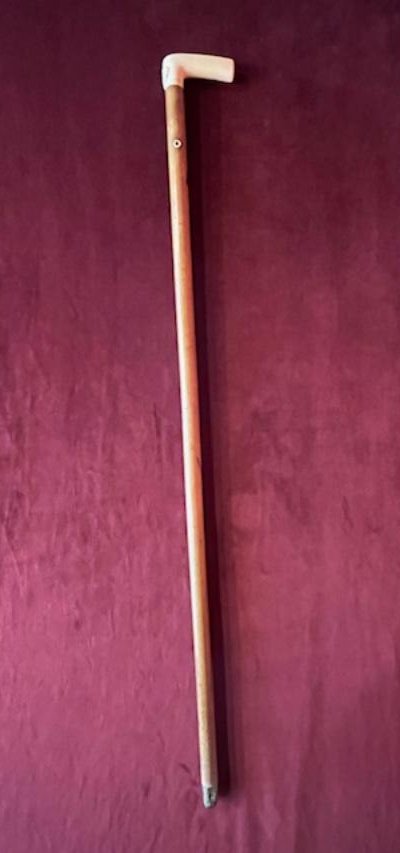 Ivory Knob Cane-photo-2