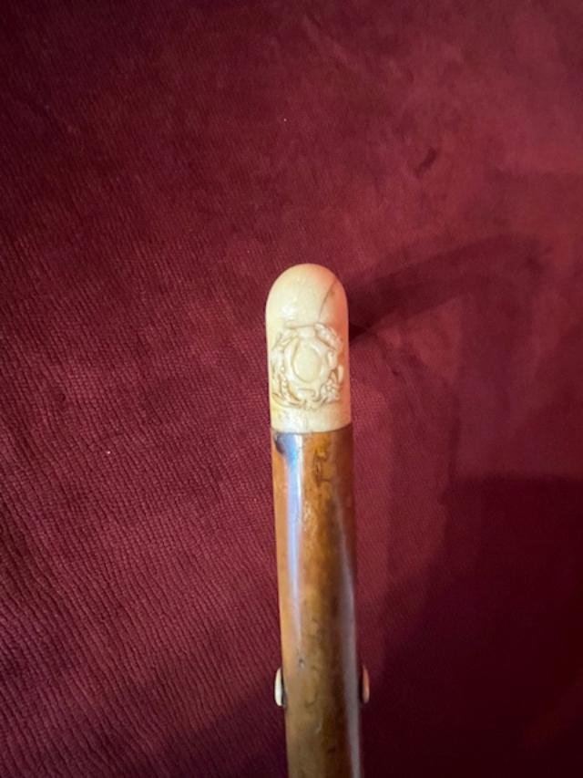 Ivory Knob Cane-photo-3