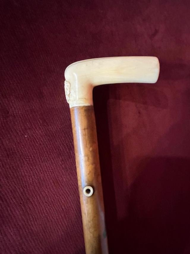 Ivory Knob Cane-photo-4
