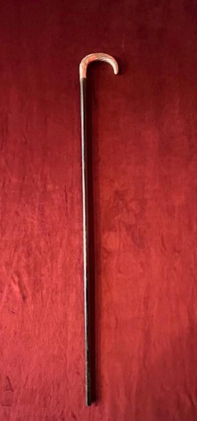 Silver-knobbed Cane With Raven Beak-photo-2