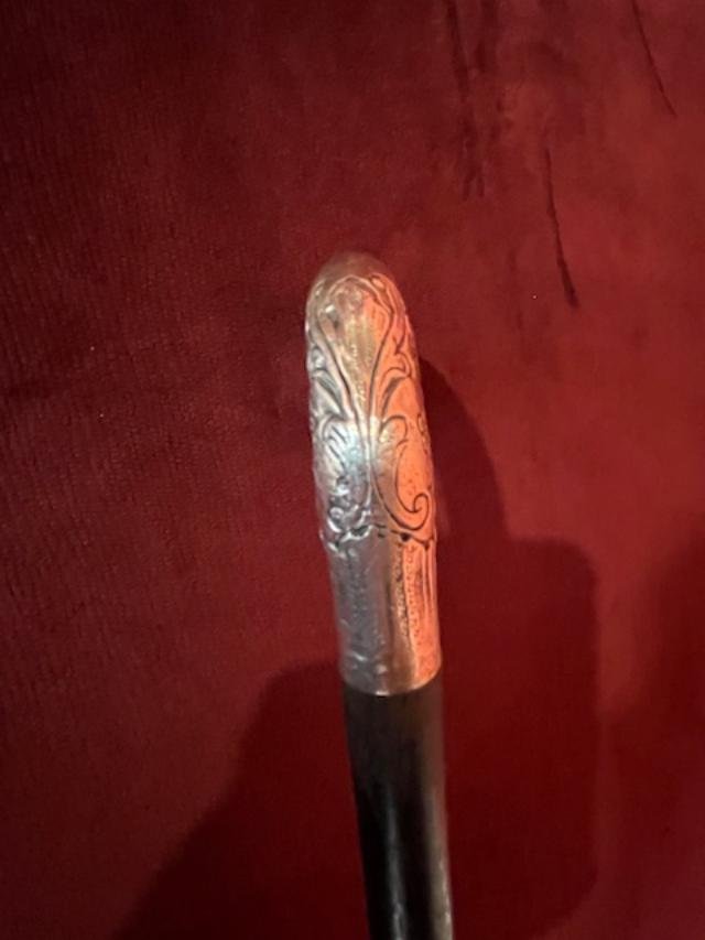 Silver-knobbed Cane With Raven Beak-photo-4