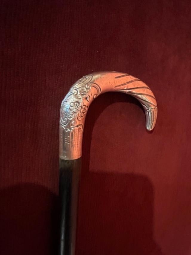Silver-knobbed Cane With Raven Beak