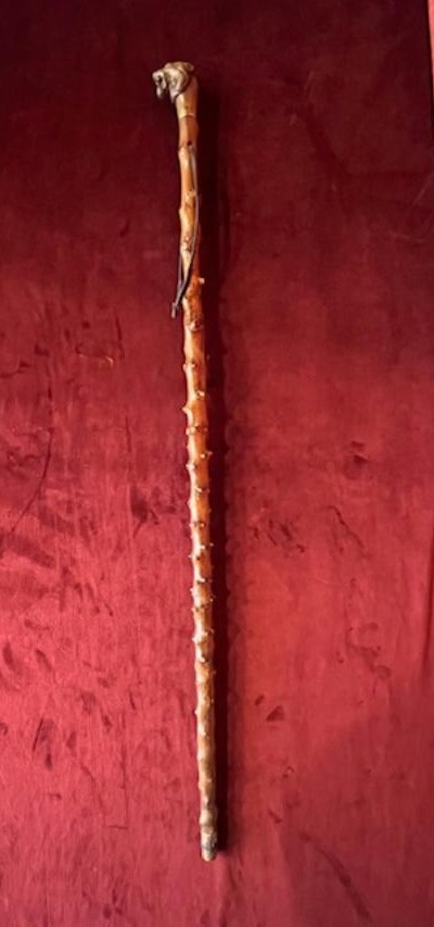 Lion's Head Cane-photo-2
