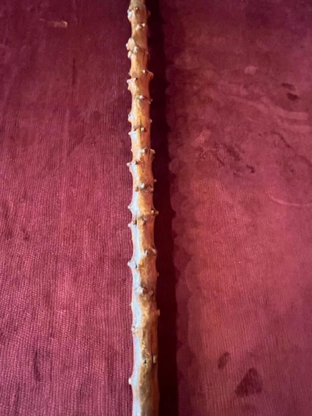 Lion's Head Cane-photo-3