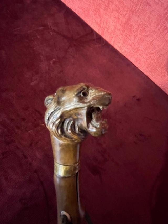 Lion's Head Cane-photo-4