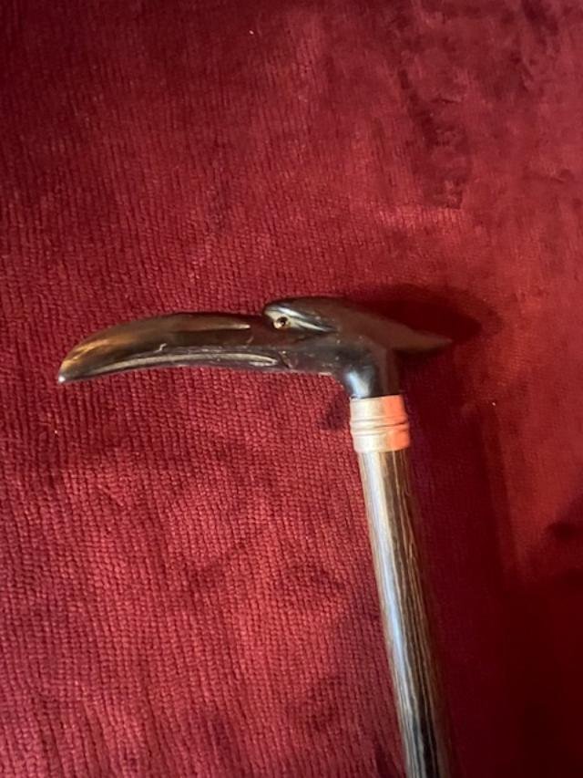 Bird's Head Horn Cane-photo-3