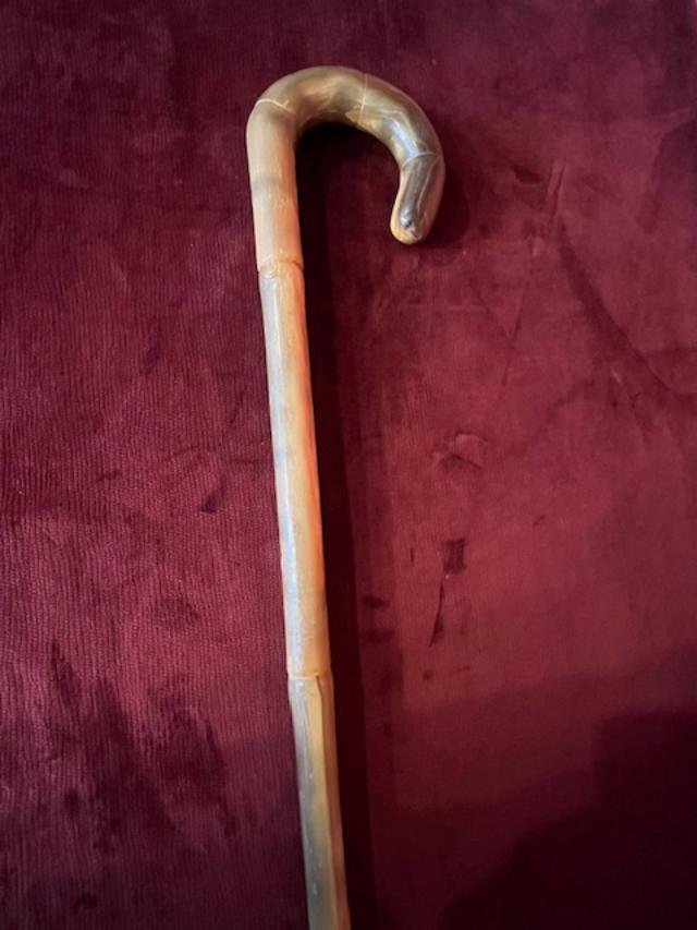 Ram's Horn Cane -photo-3