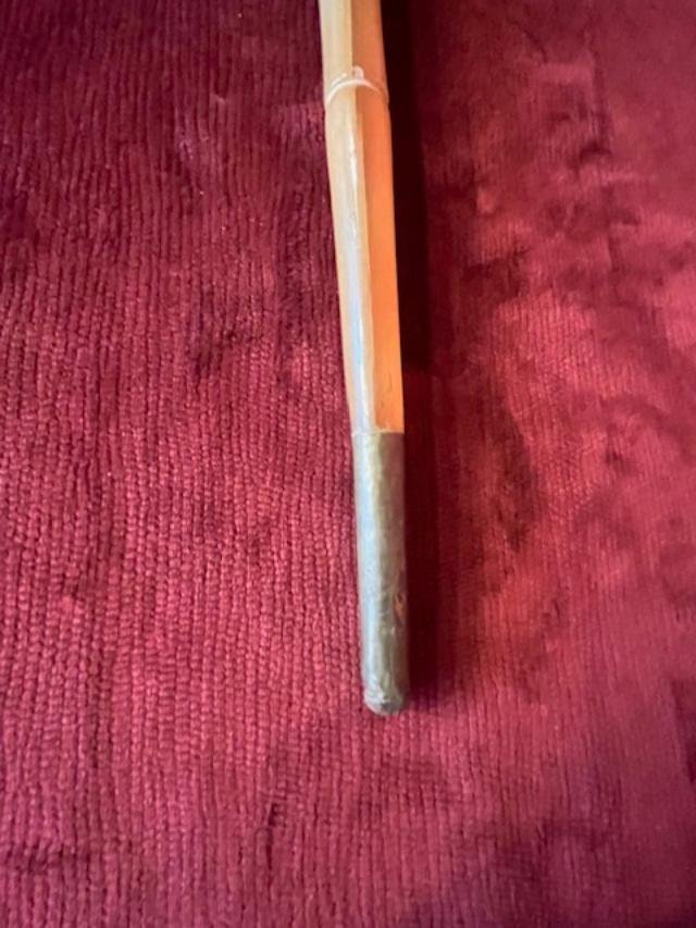 Ram's Horn Cane -photo-1