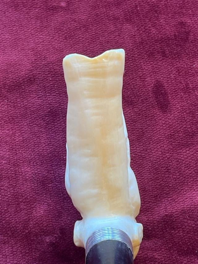 Curiosa Knob Cane-photo-3