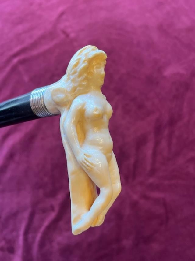 Curiosa Knob Cane