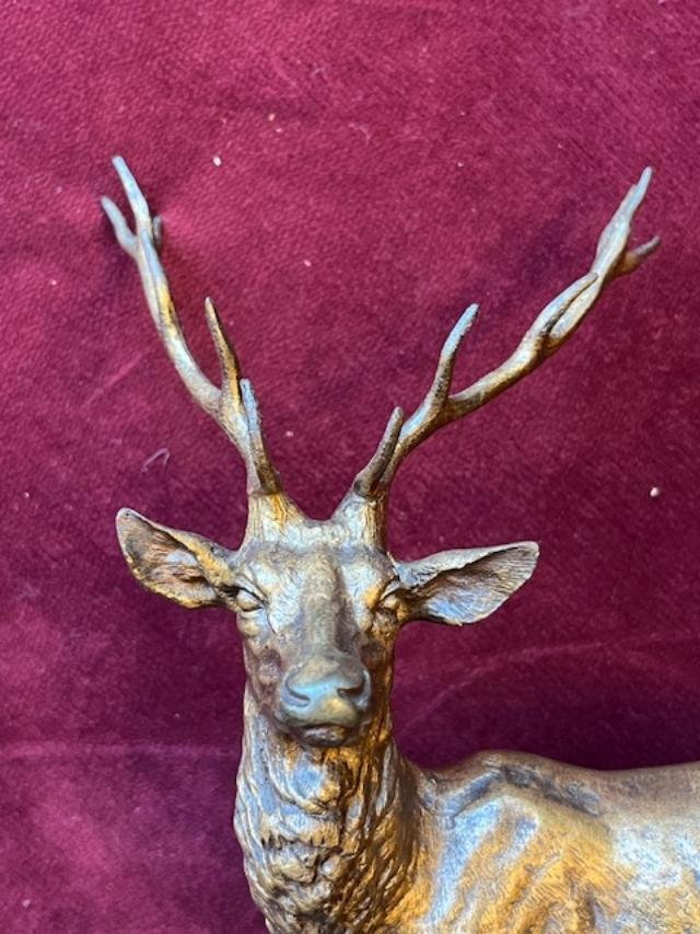 Bronze animalier-photo-2