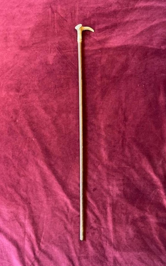 Woman's Cane With Deer Antler Knob