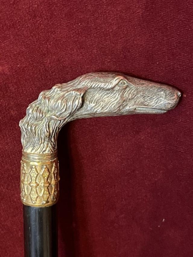 Canne casse tête pommeau de lévrier barzoi-photo-4