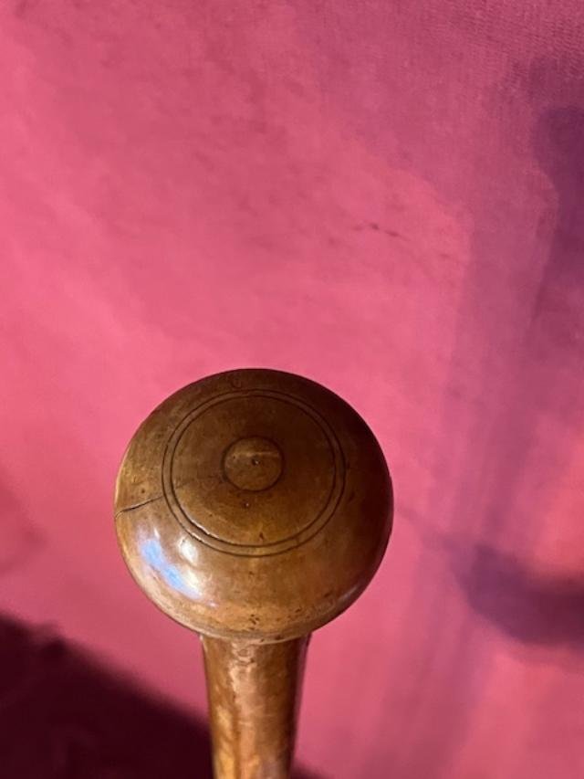 Rolling Companion Cane -photo-3