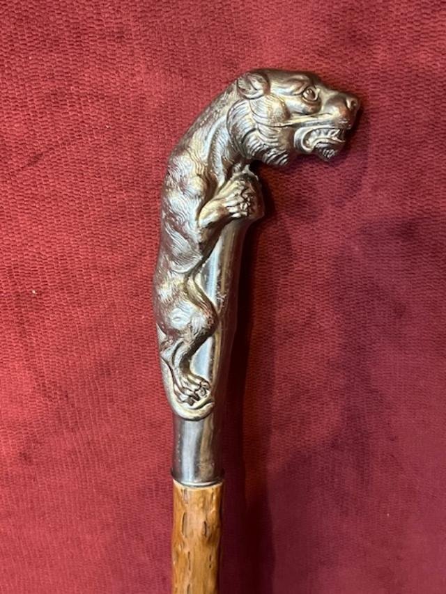 Canne pommeau lionne-photo-3
