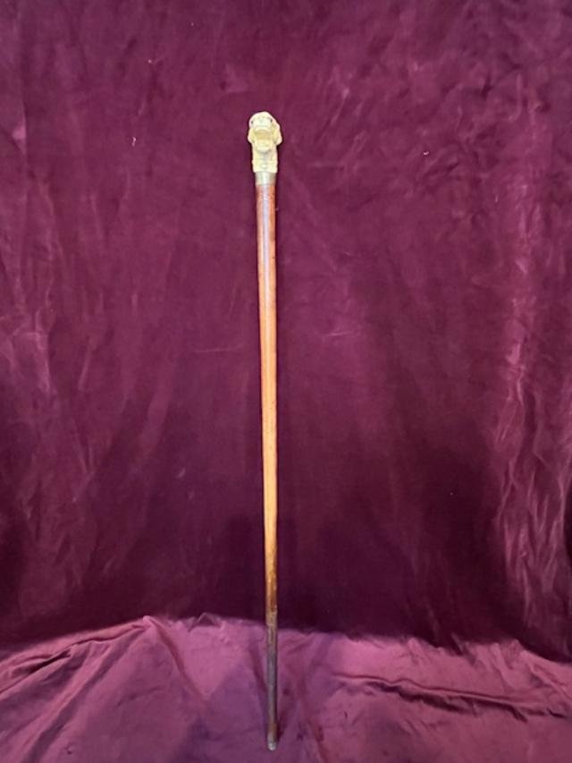 Dog-head Cane-photo-2