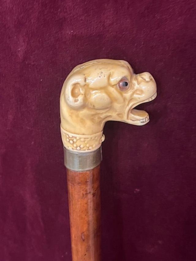 Dog-head Cane-photo-3