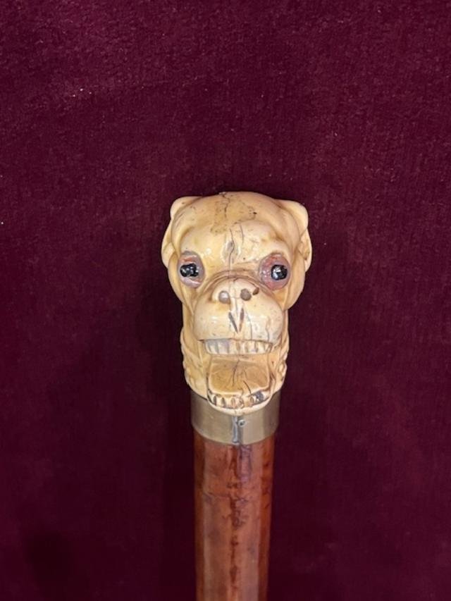Dog-head Cane-photo-4