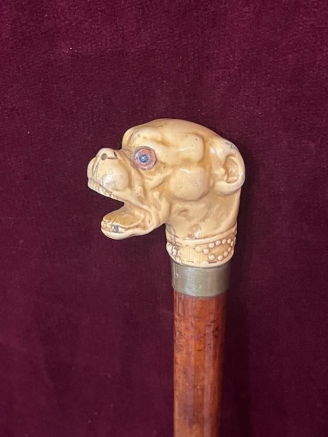 Dog-head Cane