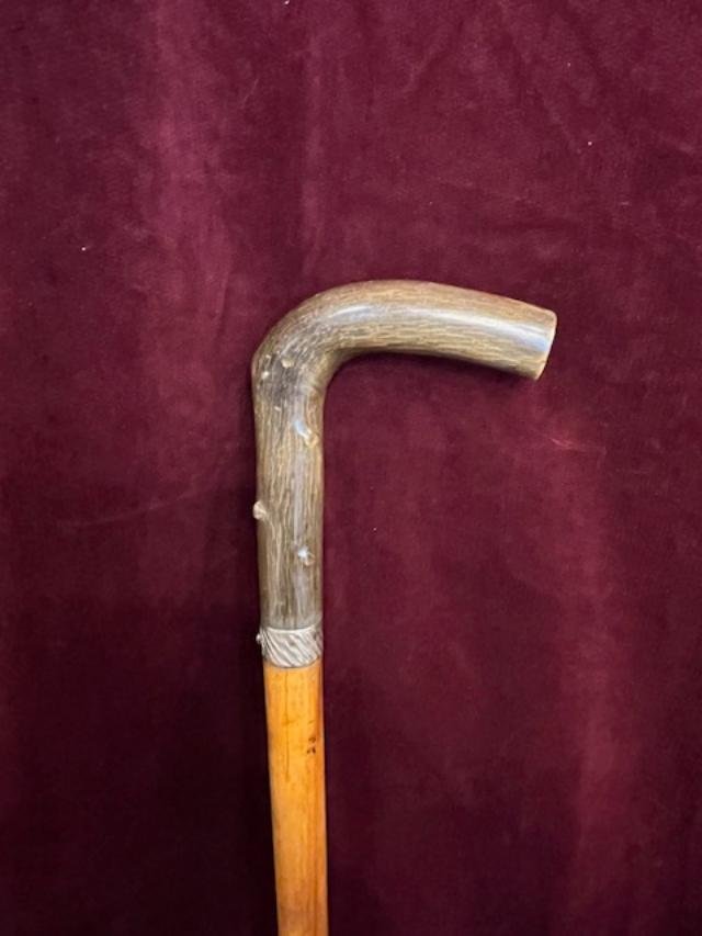 Canné Sword 19th-photo-2