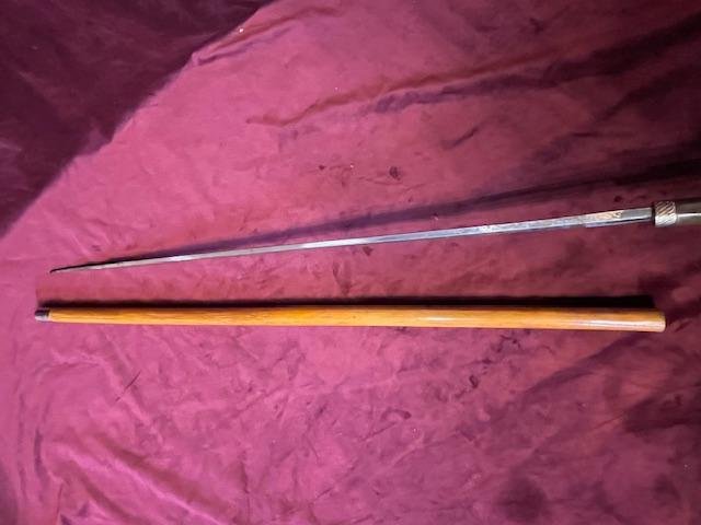 Canné Sword 19th-photo-4