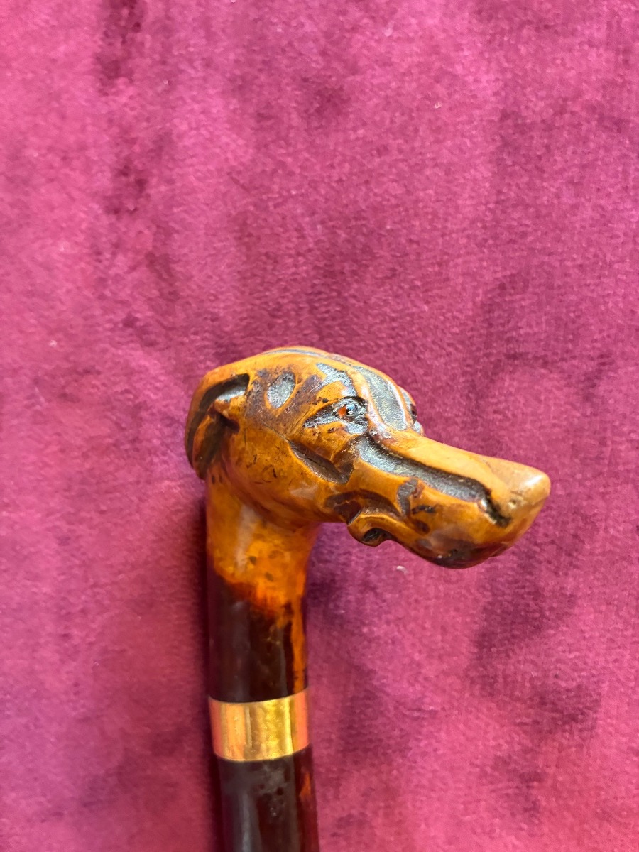 Monoxyl Cane With A Greyhound Head-photo-2