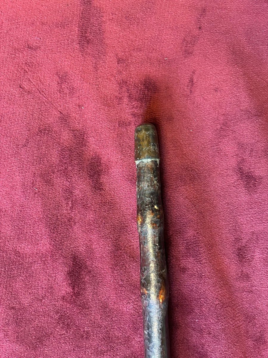 Monoxyl Cane With A Greyhound Head-photo-4