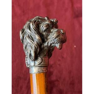 Canne Ancienne Tête De Caniche