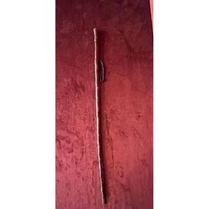 Country Woman's Cane 