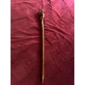 Antique Cane 1876