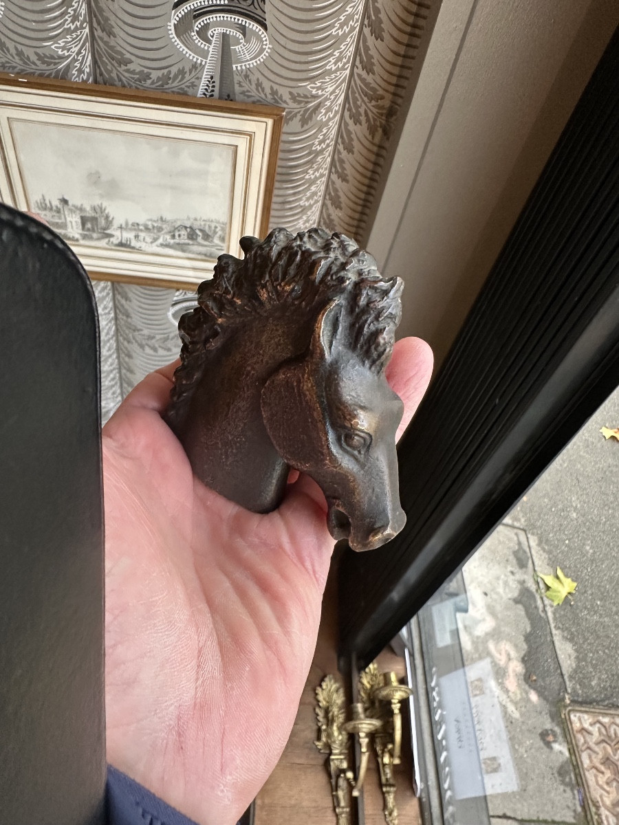 Small Bronze Horse Head By Ricardo Scarpa 8/8-photo-4