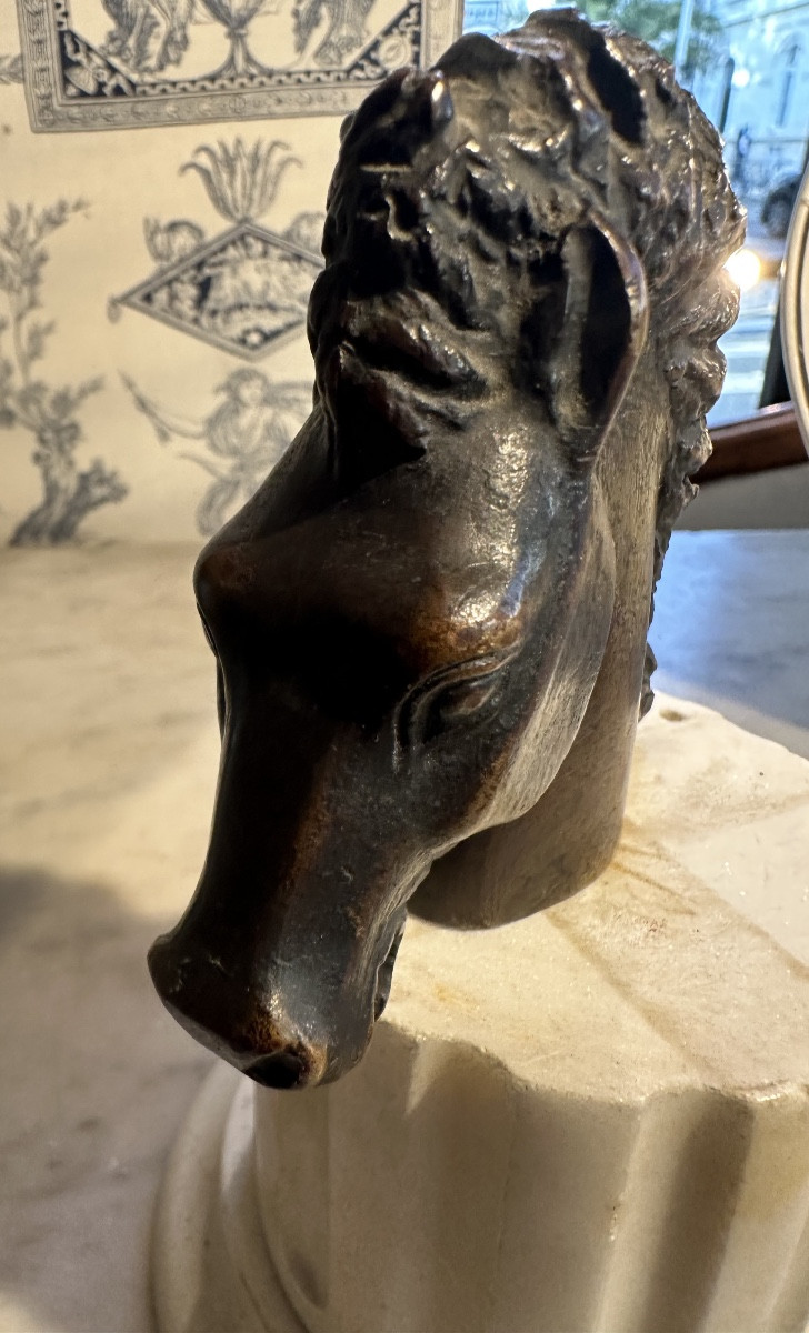 Small Bronze Horse Head By Ricardo Scarpa 8/8-photo-5
