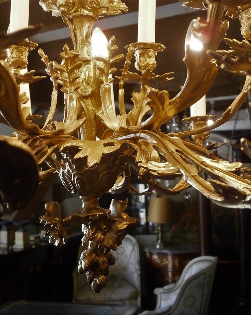 Lustre louis xv Rocaille En Bronze Doré