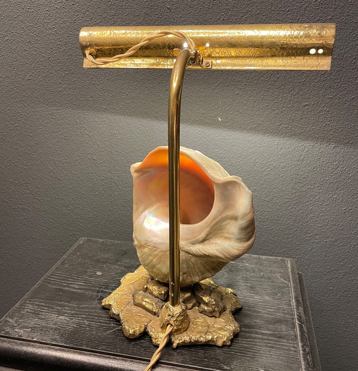 Bronze And Shell Desk Lamp-photo-3