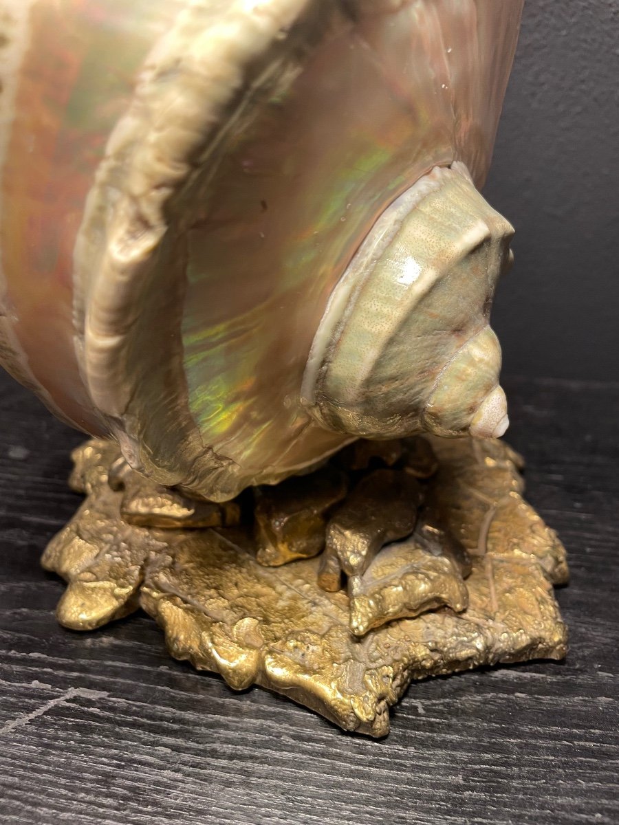Bronze And Shell Desk Lamp-photo-1