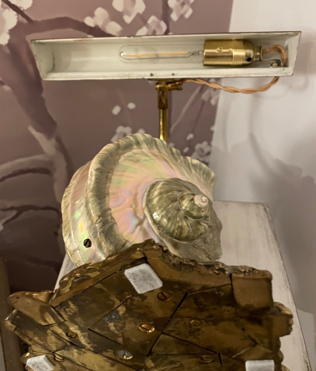 Bronze And Shell Desk Lamp-photo-7
