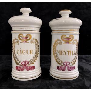 Paire de Pots Apothicaire ou Pharmacien