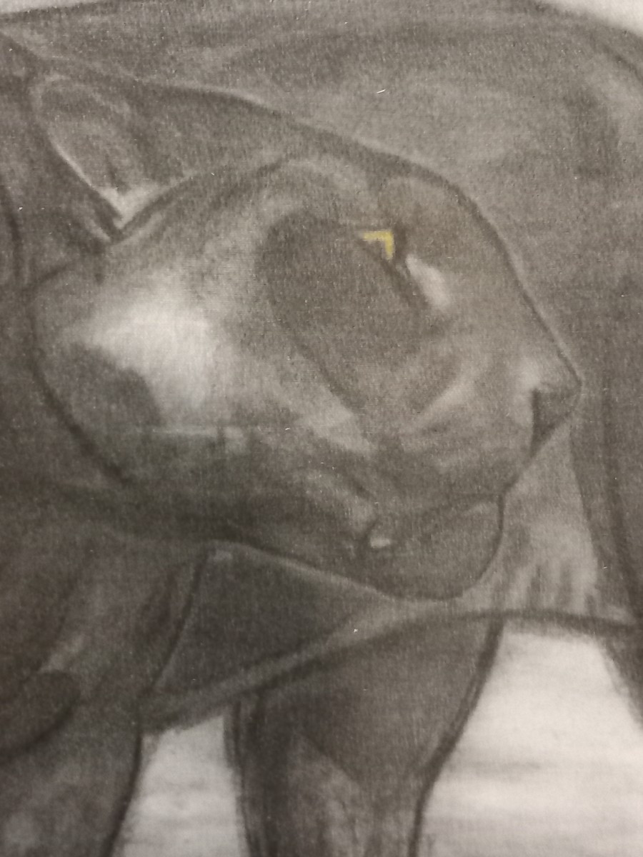 "La panthère noire" estampe sur papier, signée dans la planche 'P. JOUVE' (1880-1973)-photo-2