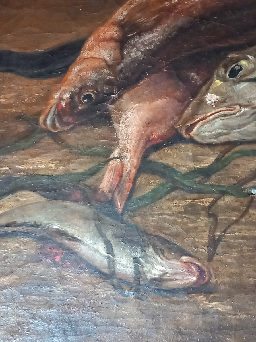 "Nature morte aux poissons", huile sur toile signée et datée  "A. Jourdan  1881"-photo-3
