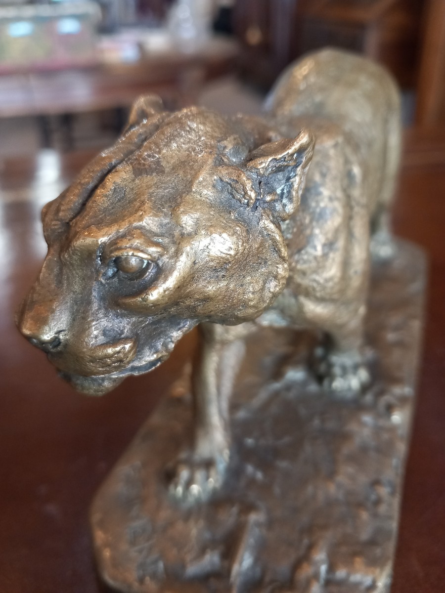 Rare bronze de P-J.  Mène: "lion de montagne" ou cougar.-photo-1