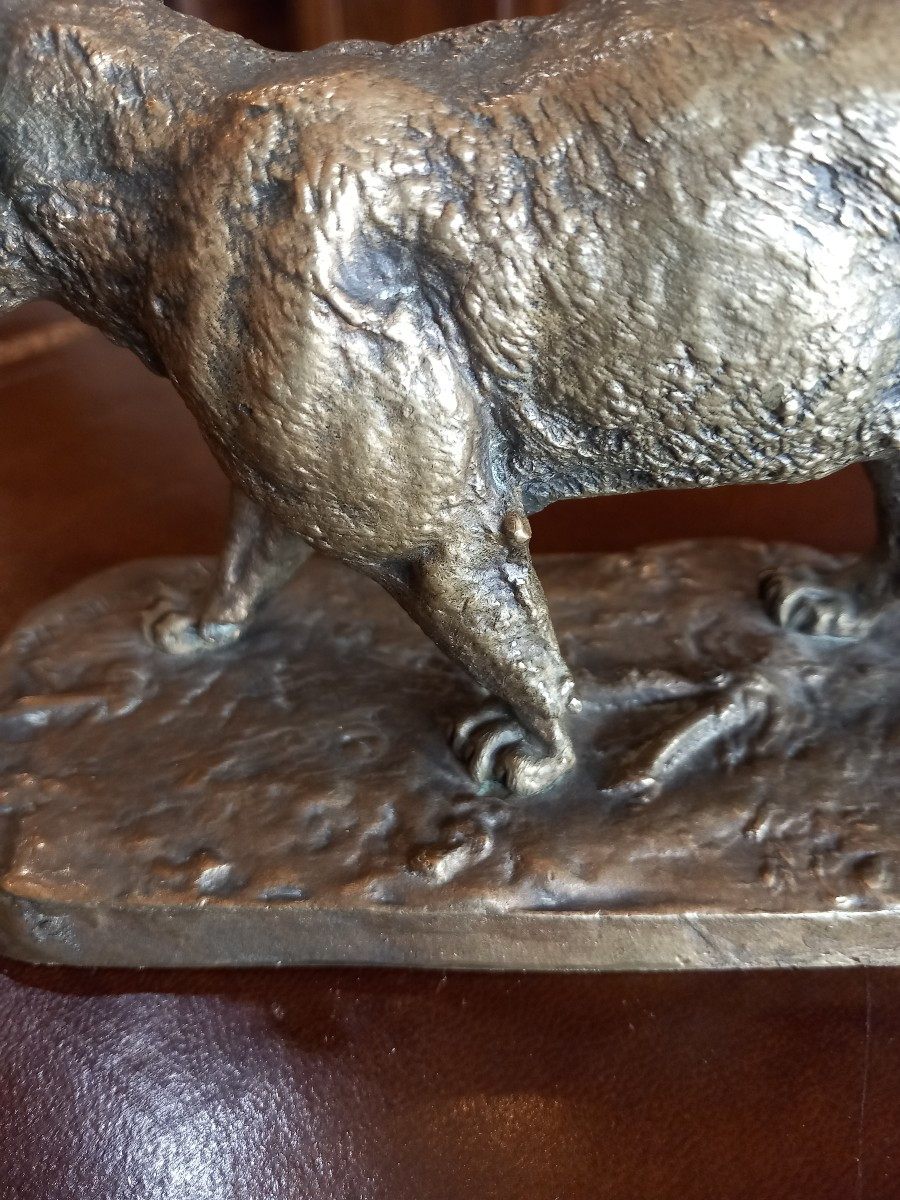 Rare bronze de P-J.  Mène: "lion de montagne" ou cougar.-photo-6