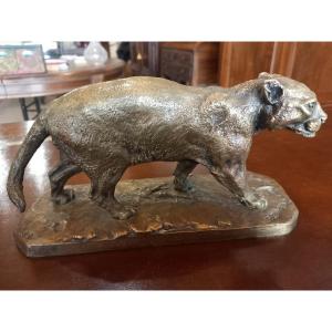 Rare bronze de P-J.  Mène: "lion de montagne" ou cougar.