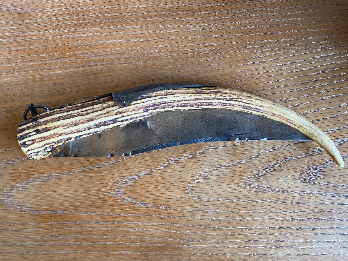 Hunting Knife -photo-3