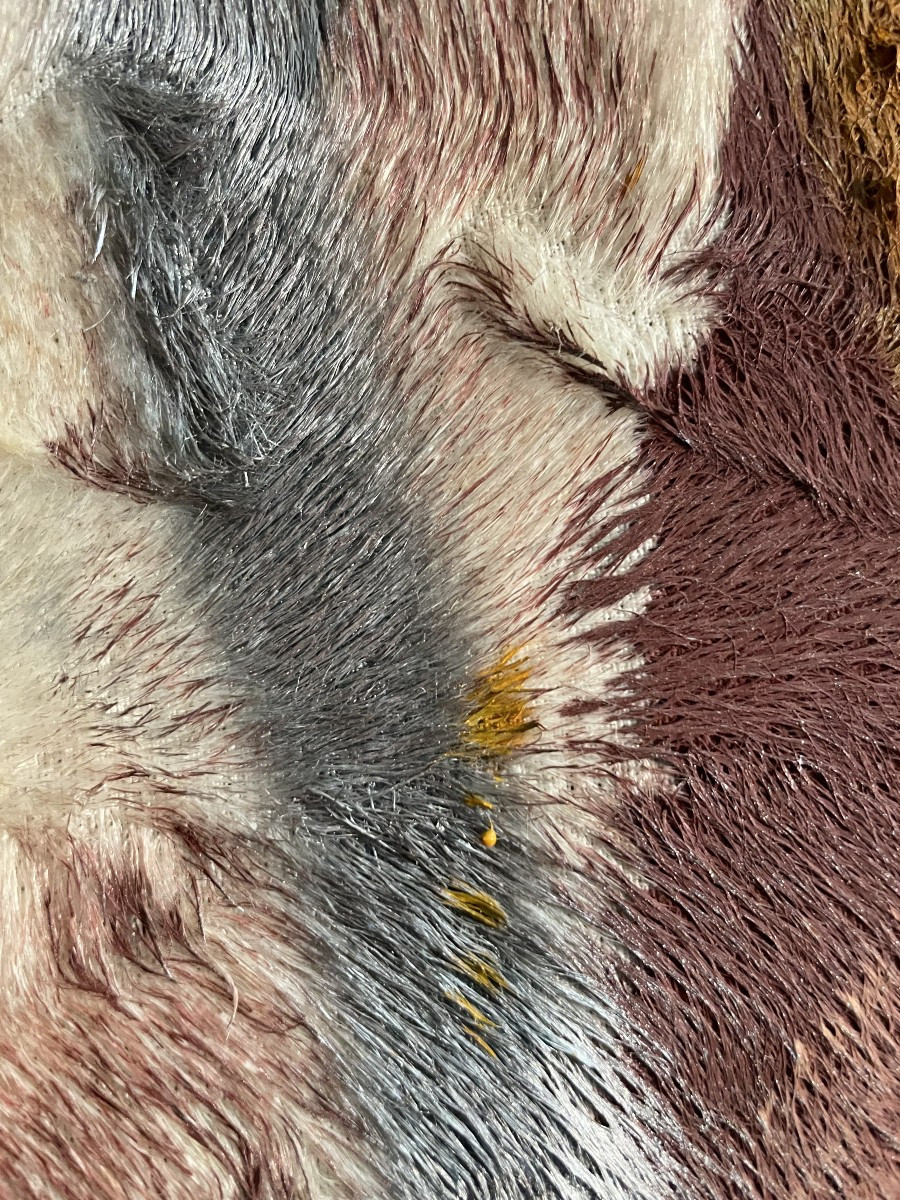 Peinture composition par Jens BIRKEMOSE  (1943/2022)-photo-4