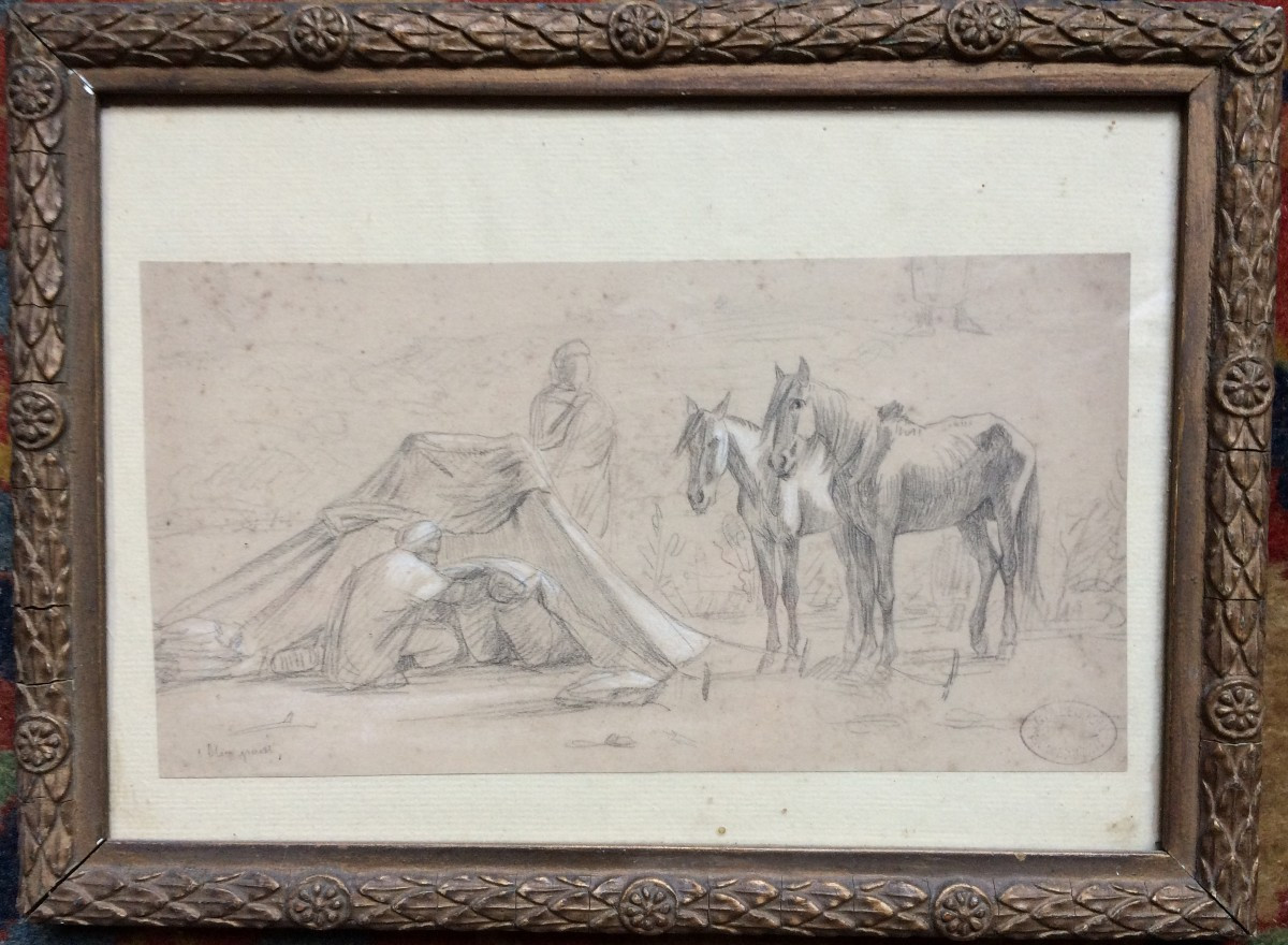 Armand Point Collection