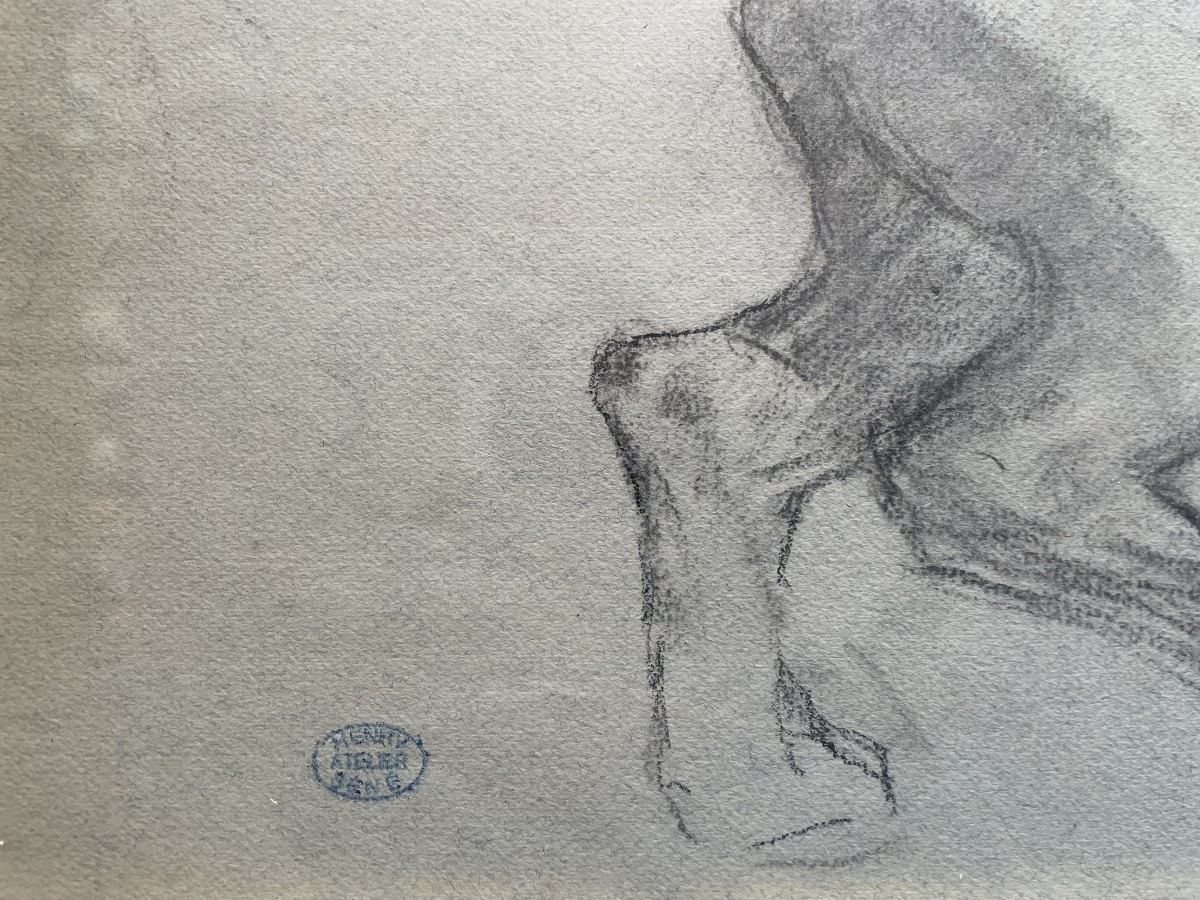 Lion Study ,by Séné-photo-4