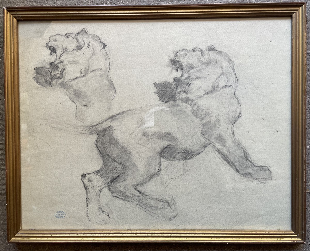 Lion Study ,by Séné